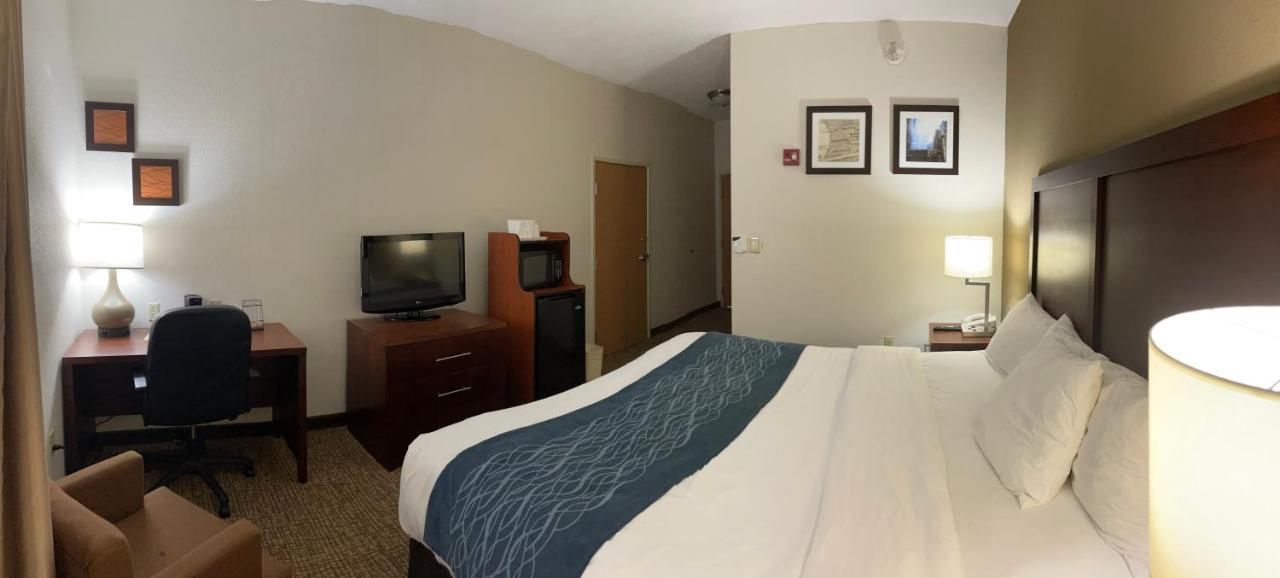 Comfort Inn Downtown - University Area Kalamazoo Eksteriør billede