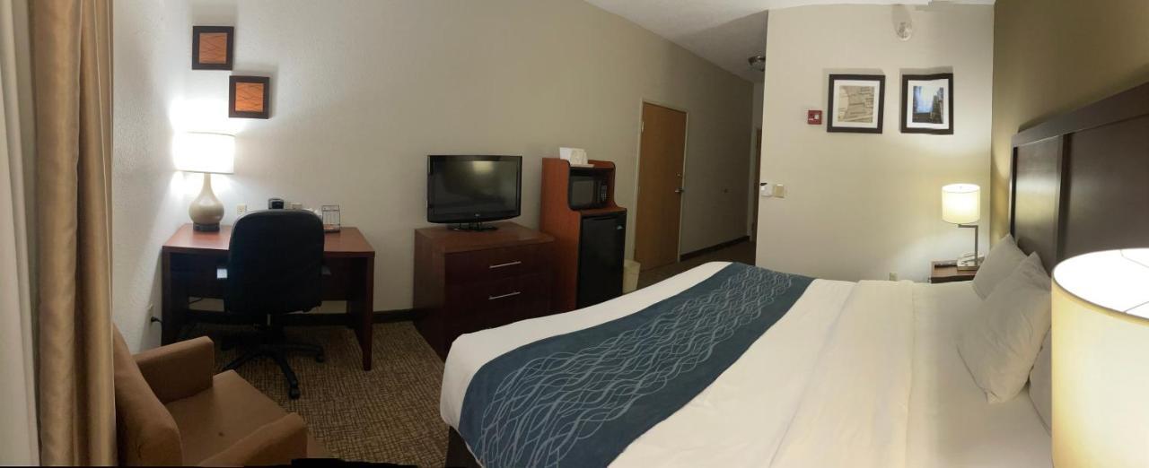 Comfort Inn Downtown - University Area Kalamazoo Eksteriør billede