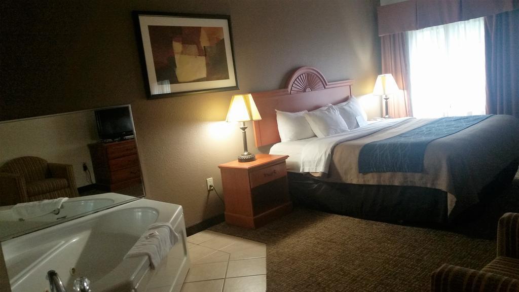 Comfort Inn Downtown - University Area Kalamazoo Eksteriør billede