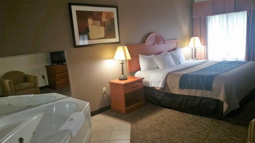 Comfort Inn Downtown - University Area Kalamazoo Eksteriør billede