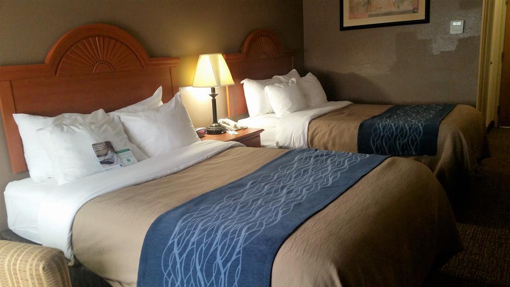 Comfort Inn Downtown - University Area Kalamazoo Eksteriør billede